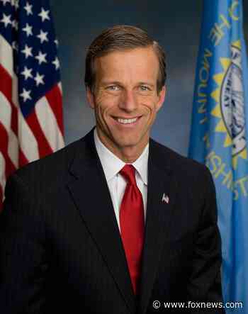 South Dakota Sen. John Thune to run for reelection