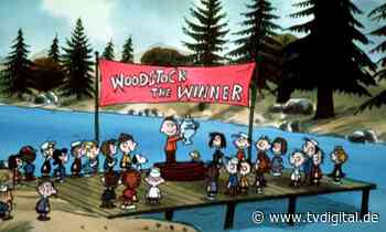 Alles andere als erholsam: Charlie und seine Freunde im Ferienlager - TV Digital