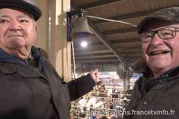 Le marché aux bestiaux d'Arras est mort, vive le marché aux bestiaux du Cateau-Cambrésis ! - France 3 Régions