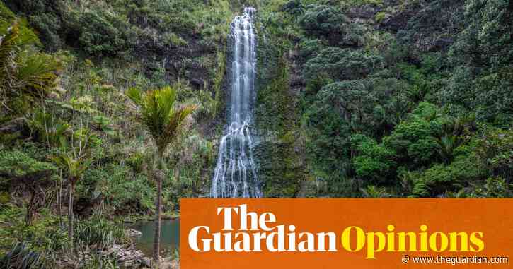 Despite hours of terror lost in the tangled bush of Karekare as a child, I’ve always returned to it | Charlotte Grimshaw