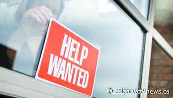 Alberta's unemployment rate hits pre-pandemic levels, Calgary's jobless rate remains high | CTV News - CTV News Calgary