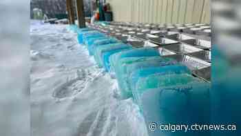 It's even too cold in Calgary for the ice sculptors - CTV News Calgary