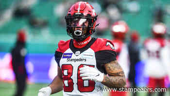 Ferguson: Plently of untapped potential for Begelton in Calgary - stampeders.com