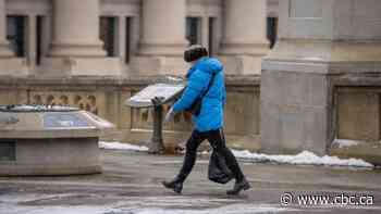 If snow news is good news, Ottawa should be 'embarrassed' by Toronto-style winter - CBC.ca