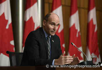 Ottawa won't increase Manitoba's share of rapid COVID tests now, health minister says - Winnipeg Free Press