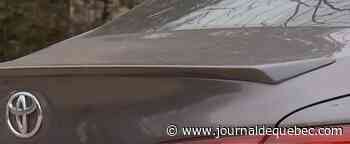 Son fils positif à la COVID dans le coffre arrière: accusations criminelles contre une mère