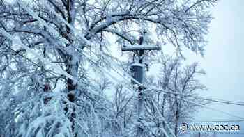 Thousands still without power after winter storm sweeps Nova Scotia