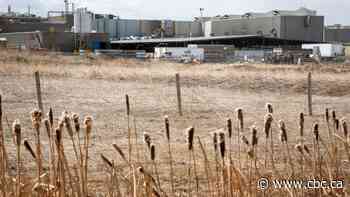 Cargill meat plant seeing at least 45 new cases of COVID-19: union