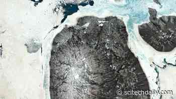 Cold Case File: Mysterious Deaths in the Arctic