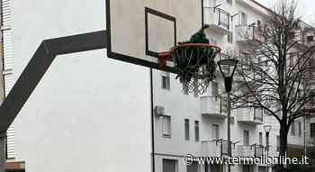 A canestro con un ramo: lo sport preferito dai vandali - Termoli Online