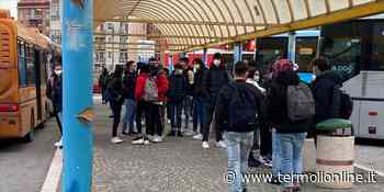 Covid e trasporti: dal 10 gennaio nuove regole "ma in Molise mancano controlli" - Termoli Online