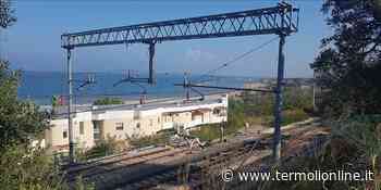 Eliminare rischi di caduta alberi e rami sulla ferrovia, l'ordinanza del sindaco - Termoli Online