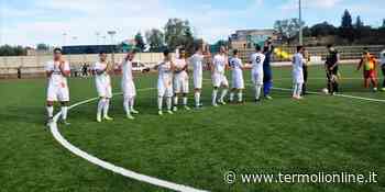 Termoli: Cento euro di ammenda al Termoli calcio e 4 mesi di squalifica all'ex presidente Castelluccio - Termoli Online