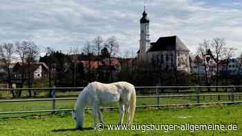 Erich Schwegler aus Weißenhorn gewinnt den Leserfotowettbewerb 2021 - Augsburger Allgemeine