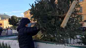 À Nice, 10 points de collecte pour les sapins de Noël - France Bleu