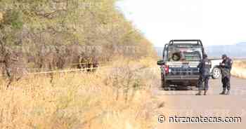 Hallan cadáver colgado de un árbol en Fresnillo - NTR Zacatecas .com