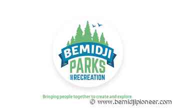 Arts and crafts activity packs available from Parks and Rec - Bemidji Pioneer