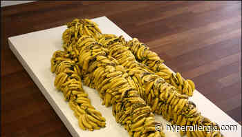 The Getty, Google Arts, & Banana Craze Create Three Online Shows Worth a Visit - Hyperallergic