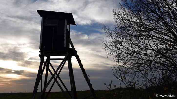 Er lag leblos auf Hochsitz in Volkach: Jäger gehen auf Treibjagd - kurz darauf ist einer tot - RTL Online