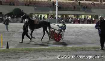 IPPICA: A Zinko Top e Marco Stefani il GP della Vittoria | VIDEO - Teleromagna24