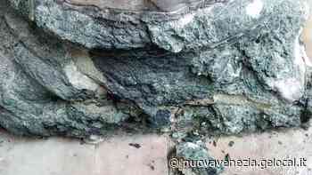 San Marco, alghe nei cantieri bloccati e la Basilica continua a perdere pezzi - La Nuova Venezia