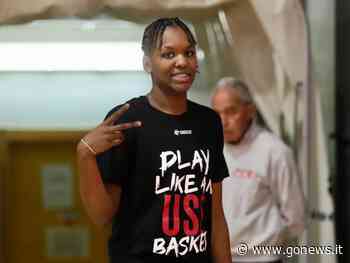 Use Scotti Rosa sconfitta a Schio, ma in crescita - gonews