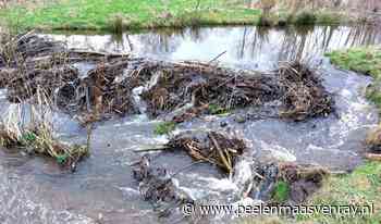Bever laat beek buiten oevers stromen | Peel en Maas - Al het nieuws uit Venray en omgeving - Peel en Maas Venray
