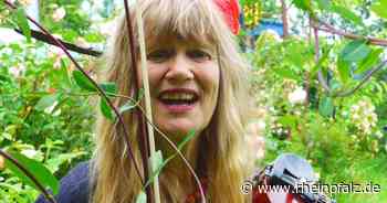 Dorle Ferber und ihr ganz eigener Musikstil - Mannheim - Rheinpfalz.de