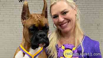 Prize-winning dog, van stolen from South St. Paul