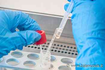 ASP Enna: "Nessuna carenza di reagenti per tamponi" - TeleNicosia