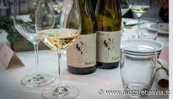 Cantina di Casteggio presenta tre nuovi vini di alta gamma - Quatarob Pavia