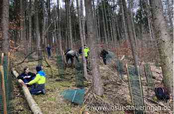 Naturschützer in Schmalkalden-Meiningen - „Wo ein Baum fällt, muss ein neuer hin“ - inSüdthüringen.de