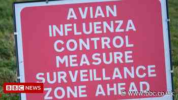 Bird flu outbreak confirmed at Upholland site
