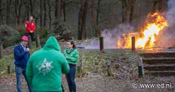 Waar blijft de boom na de feestdagen? Van ouderwets de fik erin tot kerstbomenbier - Eindhovens Dagblad
