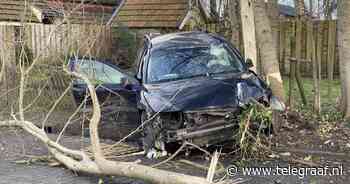 Inbrekers rijden door drie tuinen en botsen tegen boom bij Rottevalle na politieachtervolging - Telegraaf.nl