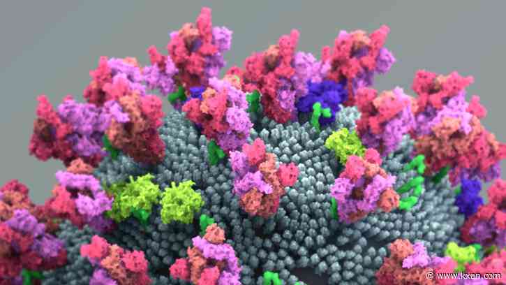 Reported 'deltacron' likely not actual variant, virologist says