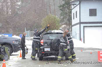 Christmas tree drop-off continues Sunday – Comox Valley Record - Comox Valley Record