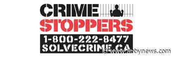 CRIMESTOPPERS: ‘Most wanted’ for the week of Jan. 9 - Abbotsford News