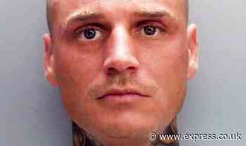 Jealous boyfriend poisoned partner's koi carp with bleach in terrifying campaign of abuse - Express