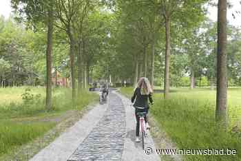 Informatietraject over werken aan Kasteeldreef