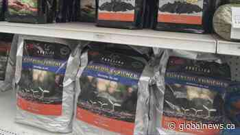 Tricks and tips to repot houseplants successfully