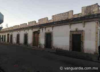 Denuncian tala de árboles en antiguo edificio de Zona Centro en Saltillo y abandono de áreas verdes - Vanguardia MX
