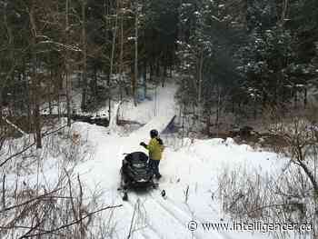 Help your forest and lower your taxes - Belleville Intelligencer