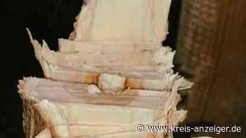 Erfolg der Niddaer Aktionen trotz Baumfrevel | Nidda - Kreis-Anzeiger