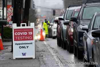 COVID testing crisis in US means shortages, scams, limited access; Chicago classes may be canceled into next week: Latest updates