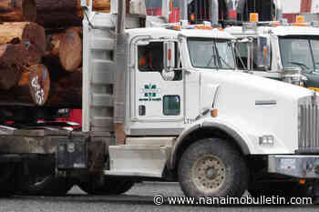 LETTER TO THE EDITOR: Old-growth logging moratorium would harm forest workers – Nanaimo News Bulletin - Nanaimo Bulletin