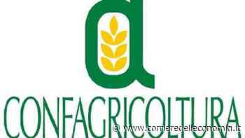 Confagricoltura Como e Lecco: Masoero nuovo presidente - Corriere dell'Economia