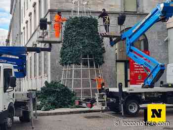 Lecco. Finite le feste, si smonta l'albero di Natale in piazza - Lecco Notizie