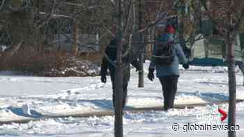 What to wear outside during Edmonton’s cold snap - Globalnews.ca