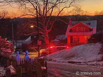 Medical examiner IDs body found in shed behind Knoxville home - TribLIVE